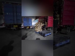 Carga de exportación